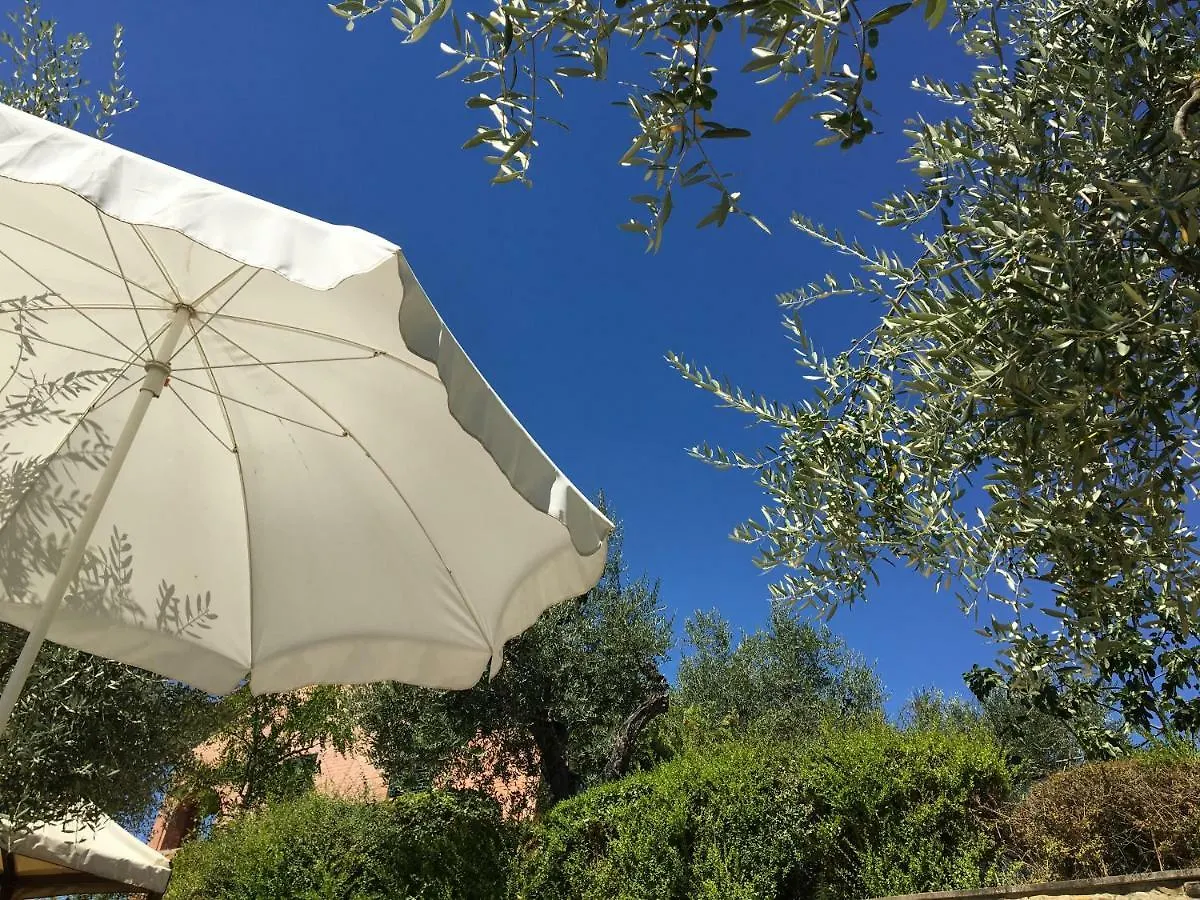 Casa L'Ulivo Apartment Ponte a Evola